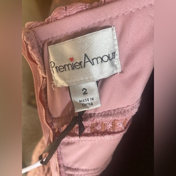 Premier Amour Blush Midi dress-Size 2 - Picture 4 of 6